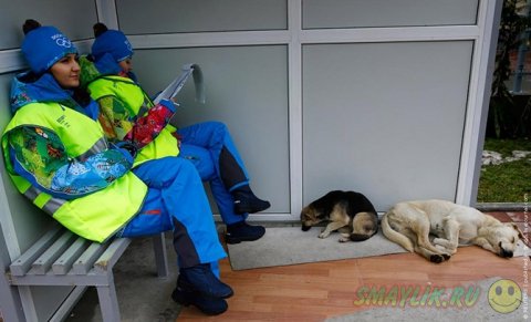 � ��������� ����������� ��� 2014