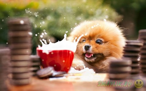 ����������� ���� ����� � ����������� ����� �