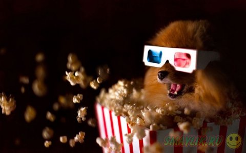 ����������� ���� ����� � ����������� ����� �