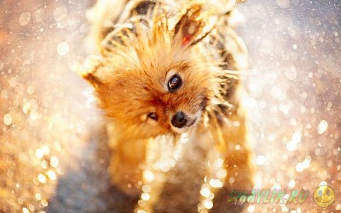 ����������� ���� ����� � ����������� ����� �