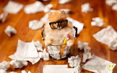 ����������� ���� ����� � ����������� ����� �