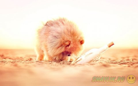 ����������� ���� ����� � ����������� ����� �