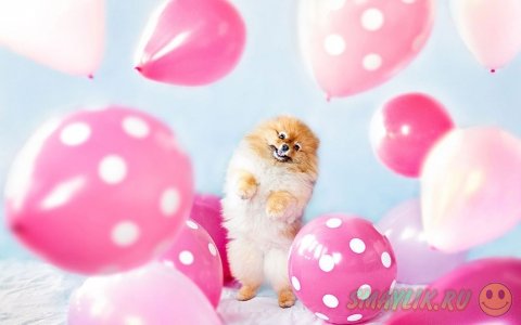 ����������� ���� ����� � ����������� ����� �