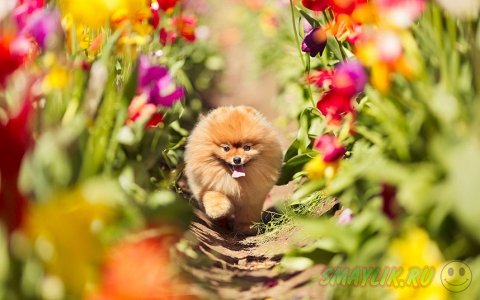 ����������� ���� ����� � ����������� ����� �