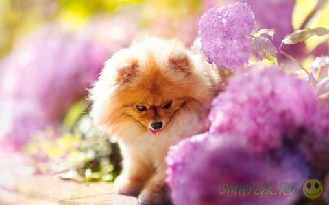 ����������� ���� ����� � ����������� ����� �