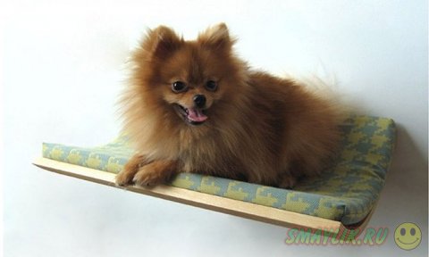 �������� ��������� � ������� � �������� ��������