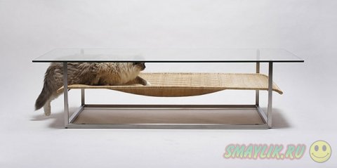 �������� ��������� � ������� � �������� ��������