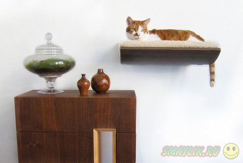 �������� ��������� � ������� � �������� ��������