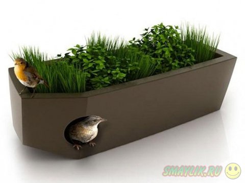 �������� ��������� � ������� � �������� ��������