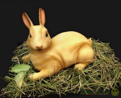 ����������������� ����� �� ����� ����� 