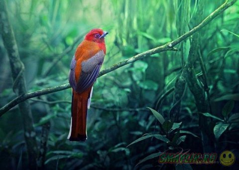 ������������ ������� ����� �������� �� ������ ����-�����