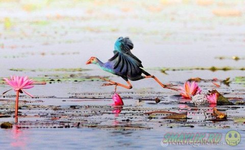 ������������ ������� ����� �������� �� ������ ����-�����