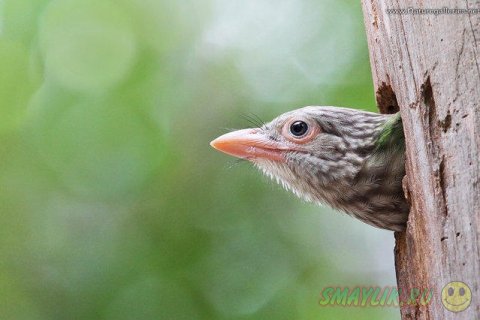 ������������ ������� ����� �������� �� ������ ����-�����