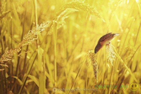 ������������ ������� ����� �������� �� ������ ����-�����