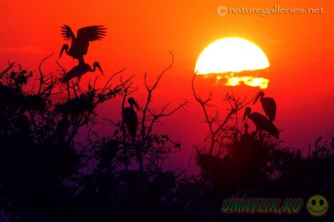 ������������ ������� ����� �������� �� ������ ����-�����