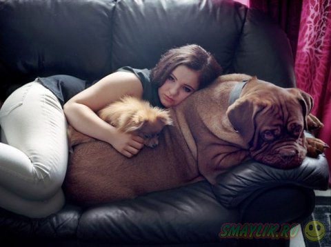 ����� ��������� ����