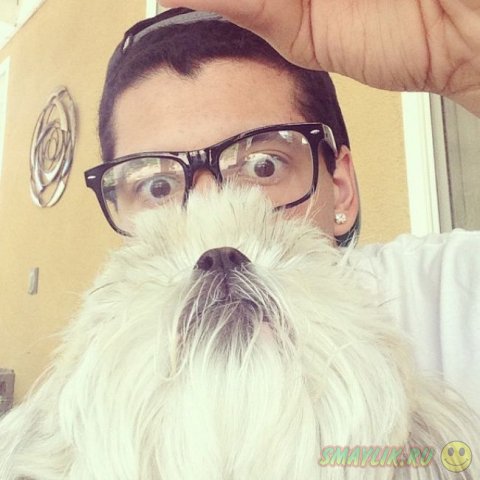 ����� ��������� ����