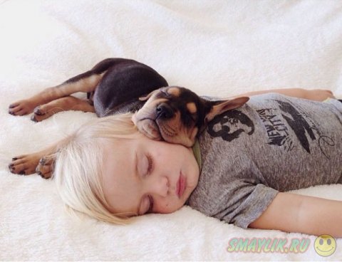 ����� ��������� ����