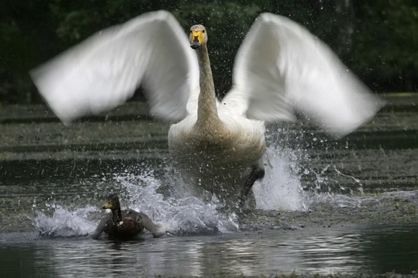 ������������