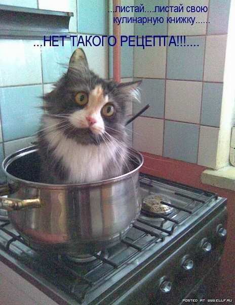 ���������� �������