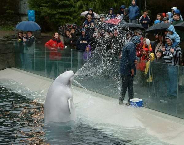 ������������