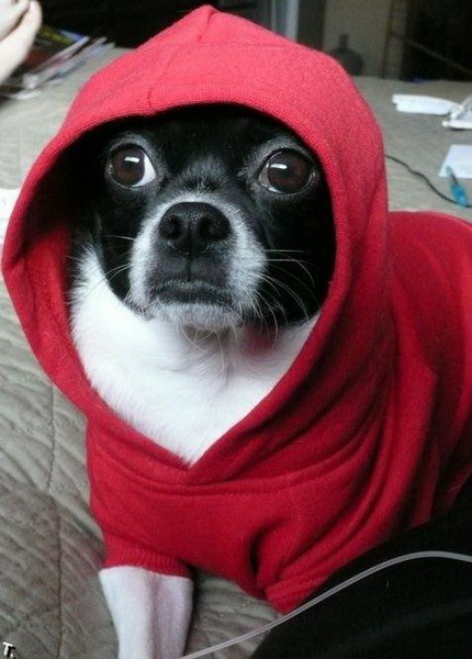 ���������� �����