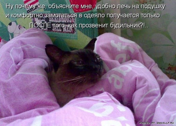 ���������� �������