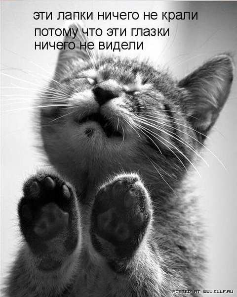 ���������� �������