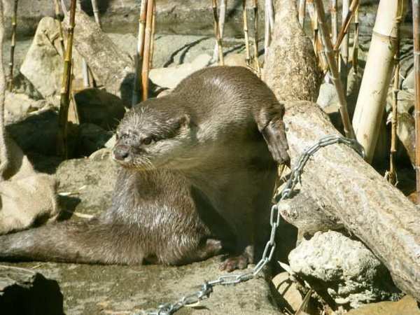 ������������