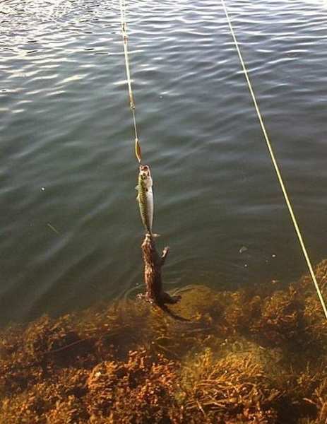 ������������