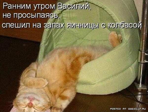 ���������� �������