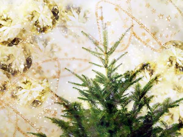 ����� ����� ���!