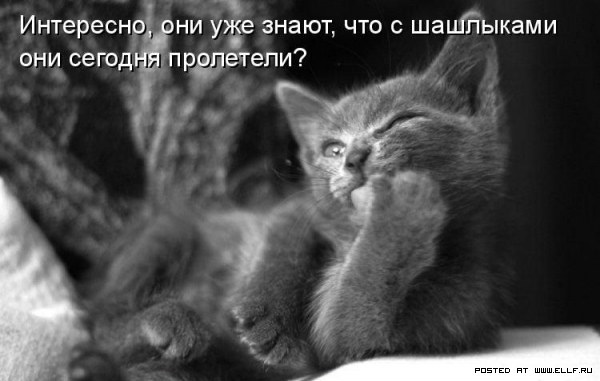 ���������� �������