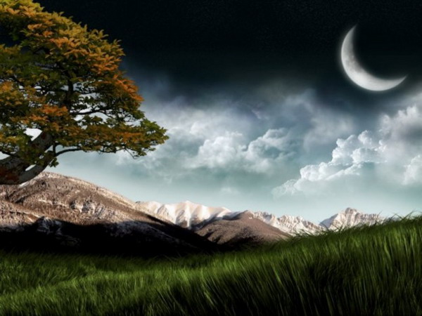 �������������� �����