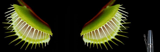 ���������� ������ �� ������� ����-2