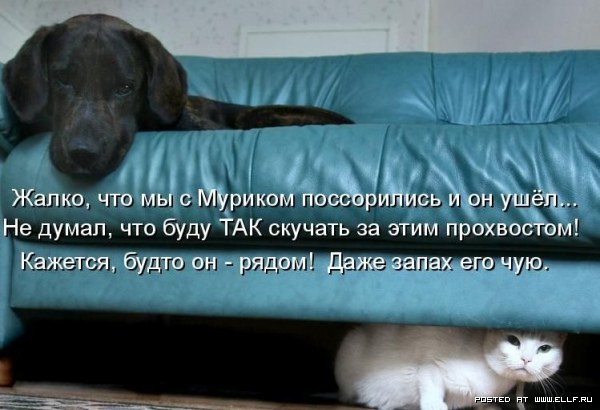 ���������� �������