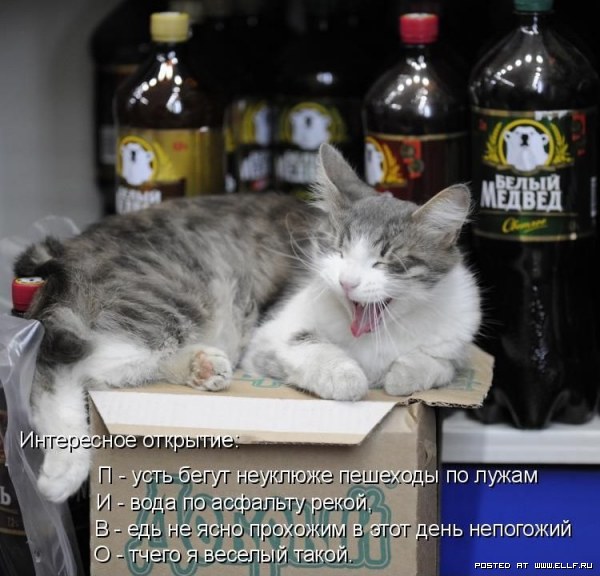 ���������� �������