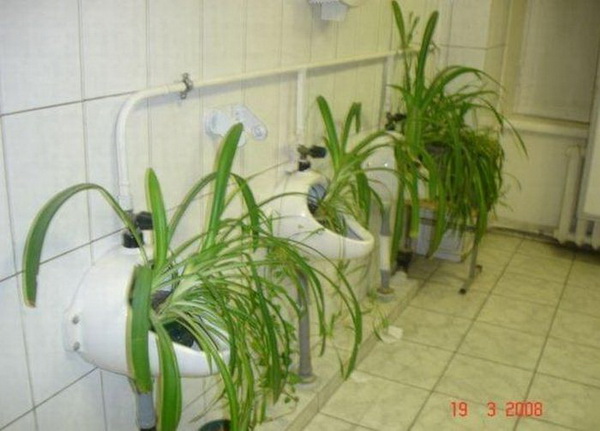 ������������