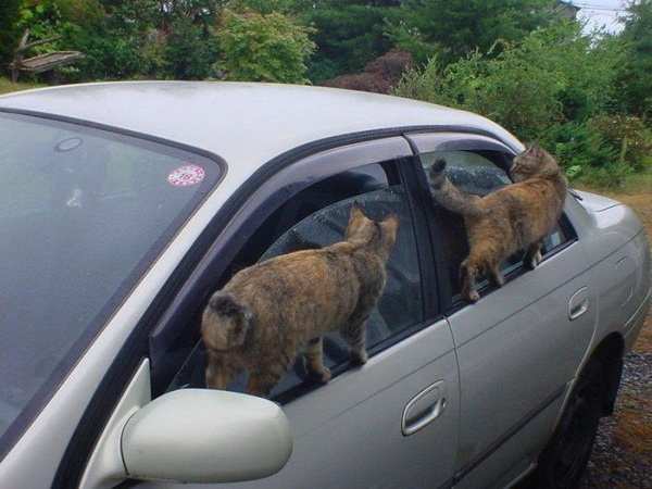 ������������