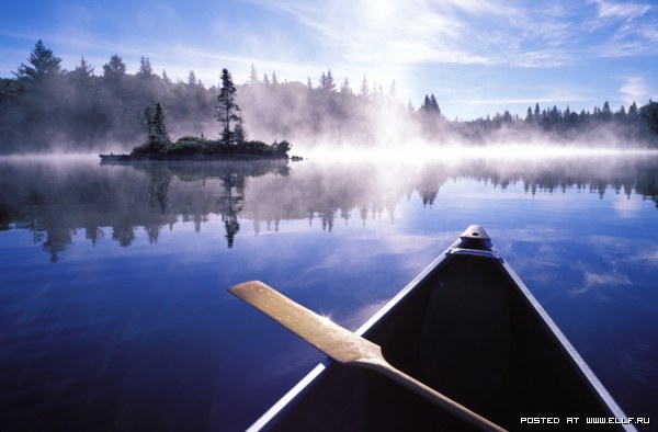 �������� ���� �� Cosmo Condina