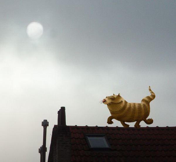 �������