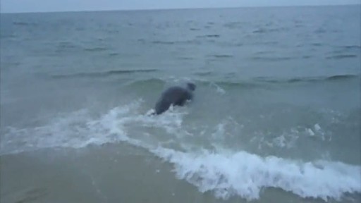 ��� ��� ����!