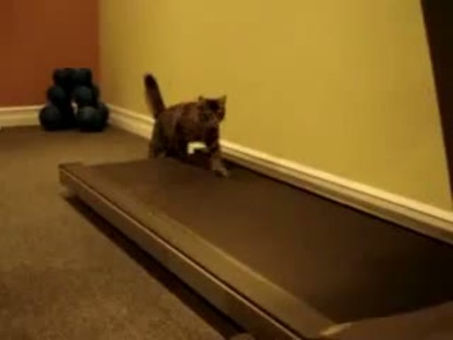 ��� �� ������� �������