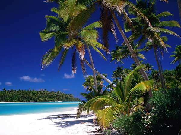 ������� ������ �����