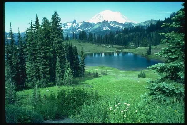 ������ ��������