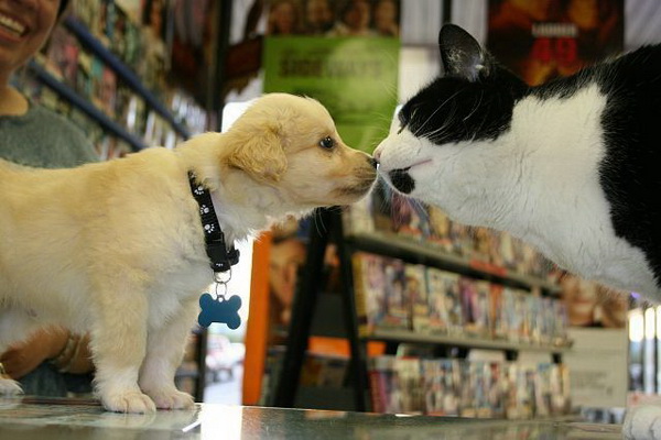 ��� � ���