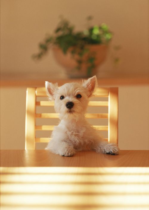 8 �������� ���������� �������