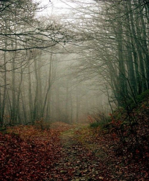 ��� (6 ����)