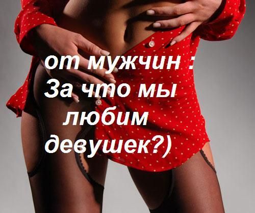 ������� � ��������