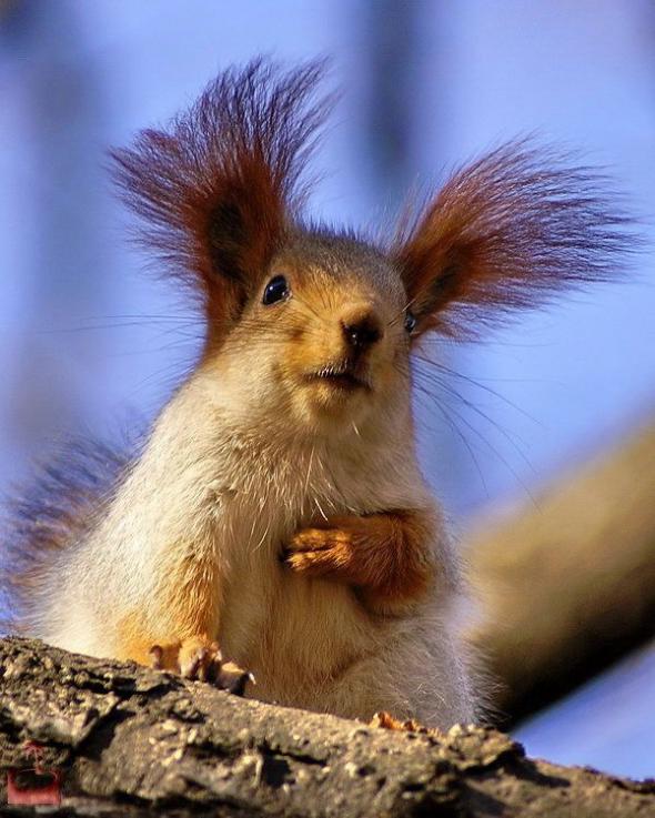 ��������� ������